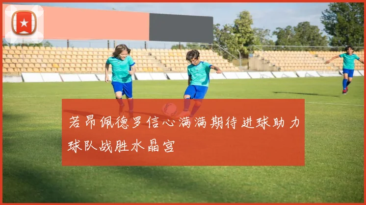 若昂佩德罗信心满满期待进球助力球队战胜水晶宫