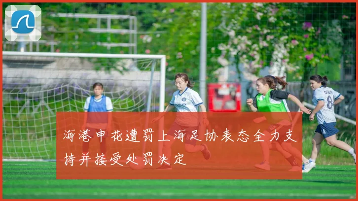 海港申花遭罚上海足协表态全力支持并接受处罚决定